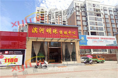 新东岳广场A区3室2厅2卫豪华装修有车位送家具家电